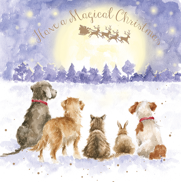 The Magic Of Christmas