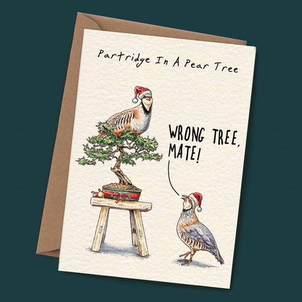 Partridge Bonsai (X26BEW C12)