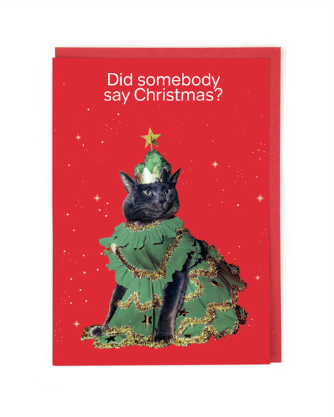Christmas Tree Cat