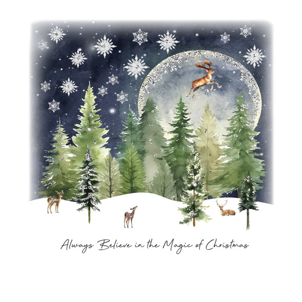 Always Believe in the Magic of Christmas (X26FDS AB03)