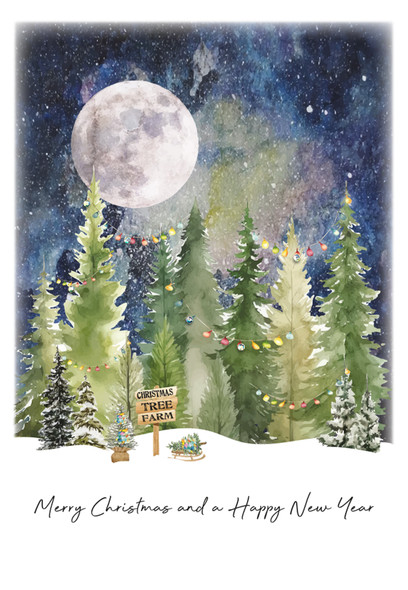  Merry Christmas and HNY Forest