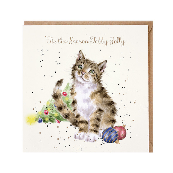 Tabby Jolly (X26WRE JX092)