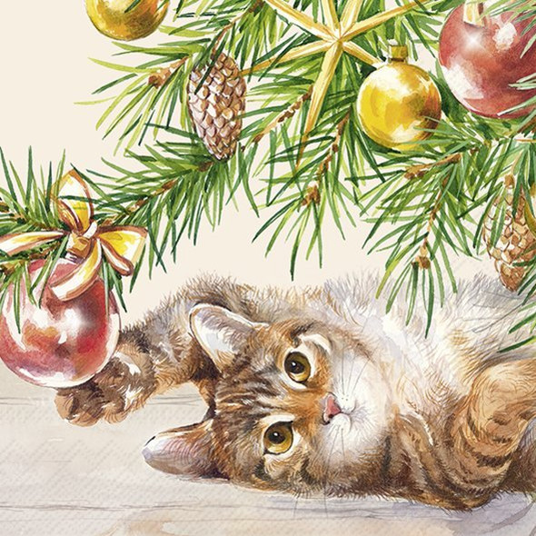 Christmas Cat Cream