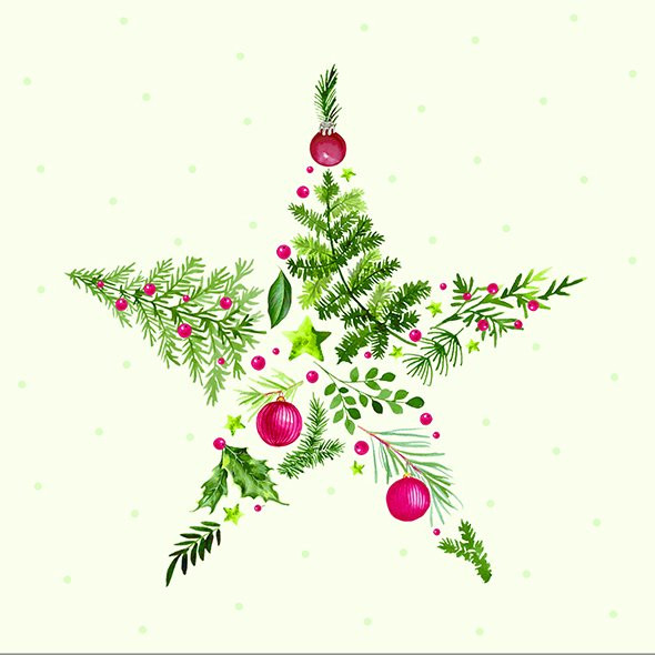 Christmas Branches Star