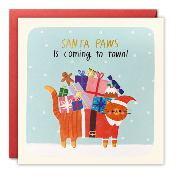 Sq Peg - Santa Paws Cat (unbagged)
