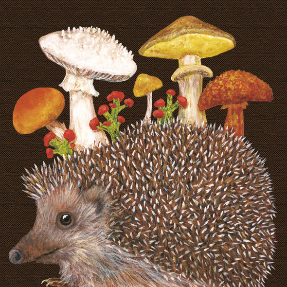 Vicki Sawyer-Harold the Hedgehog