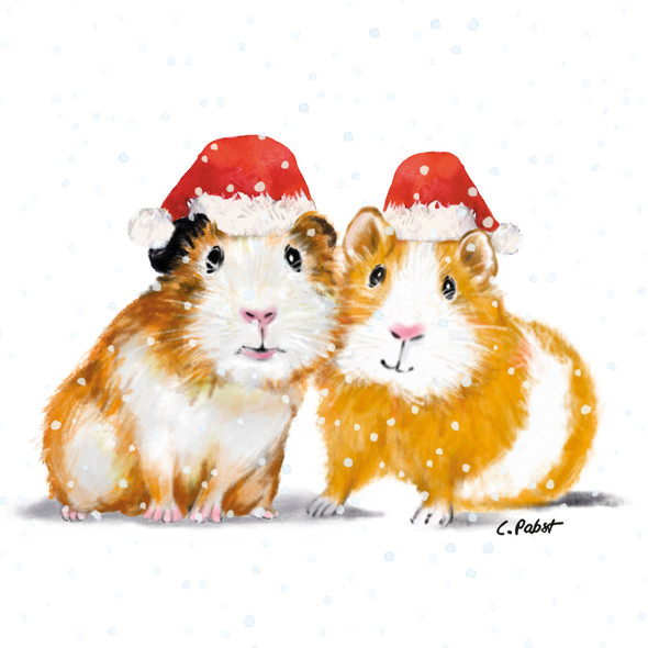 SALE - Paula & Paul Winter