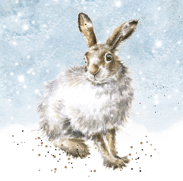 Wallet 8 SALE - Winter Hare (X26WRE XB035)