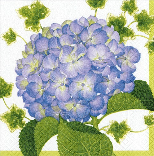 Hydrangea-Cocktail