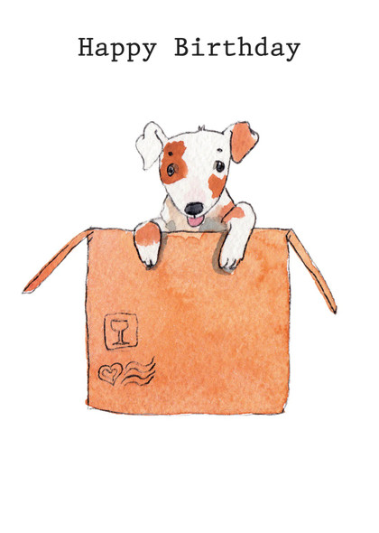 HB- Dog in a Box