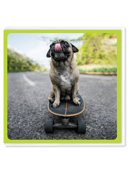 Skating Licked