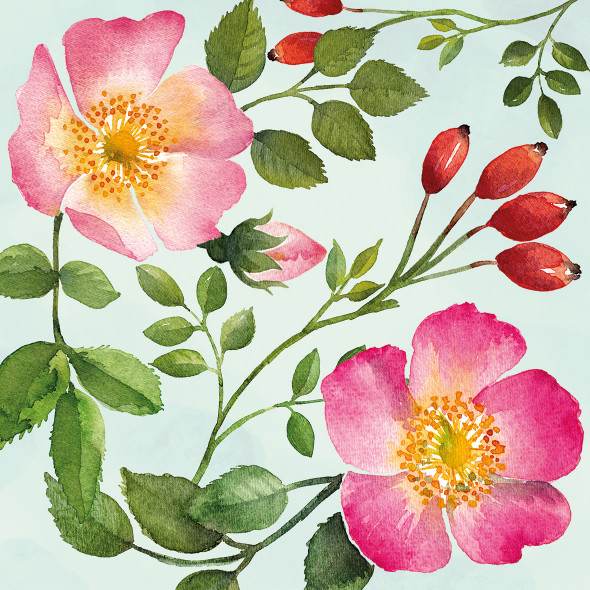English Rose