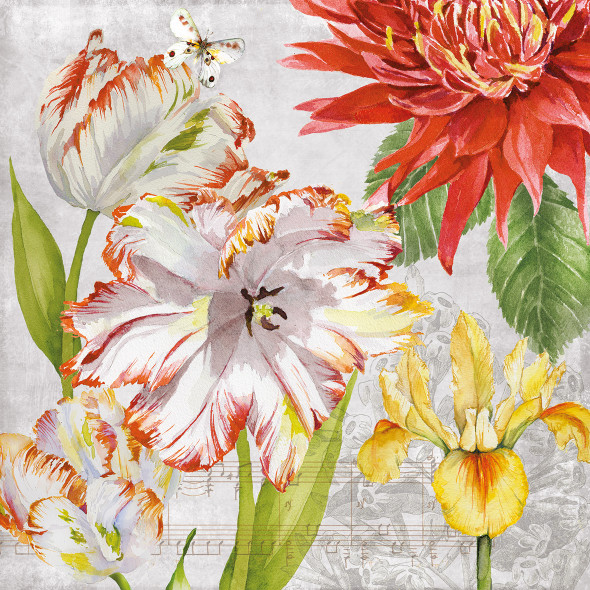 Dahlia