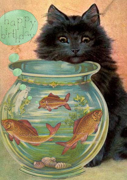 HB- Black Cat Fish Bowl