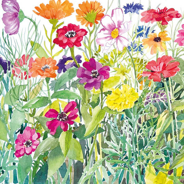 Summer Annuals