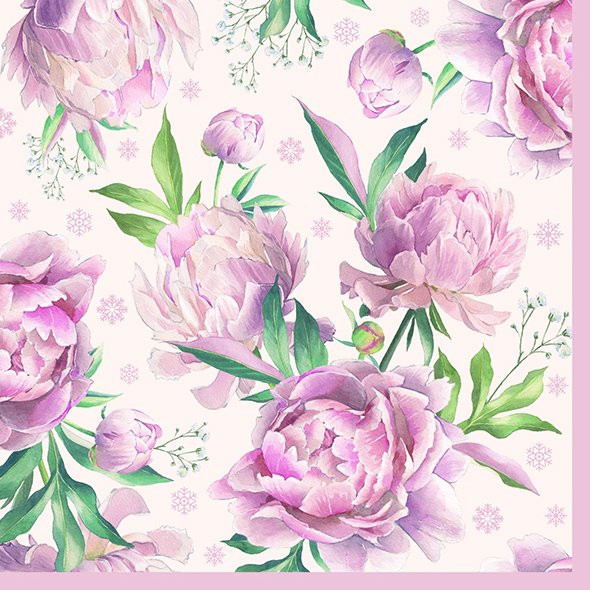 Daphne Peonie - Cream Rose