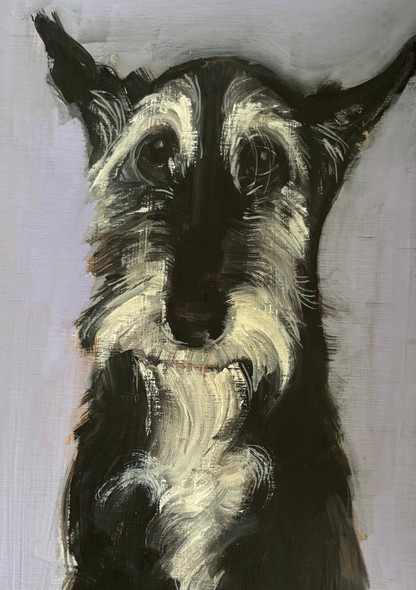 Royal Academy- Dog Sally Muir