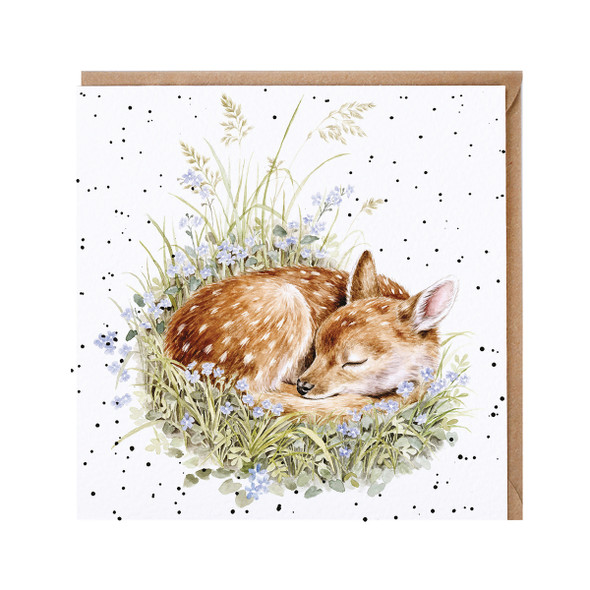 SQ- The Gentle Fawn