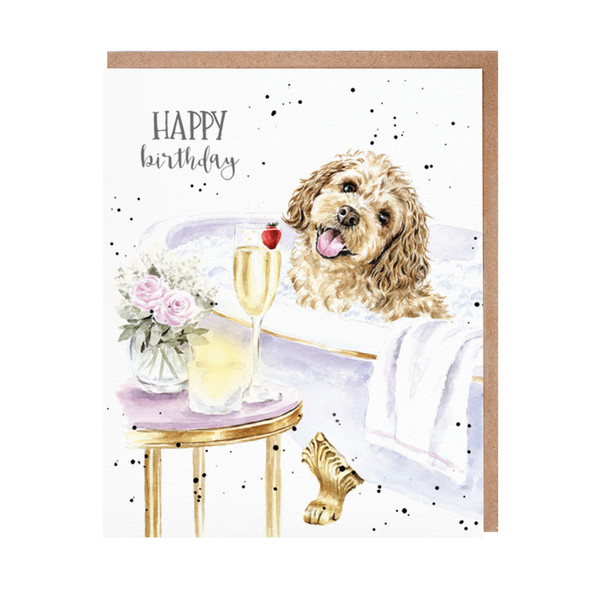 HB- Pampered Pup
