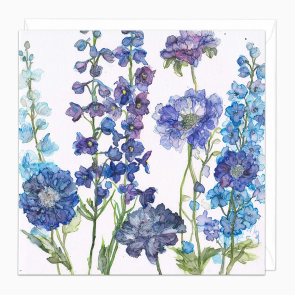 Trotman- Delphiniums and Scabius (unbagged)
