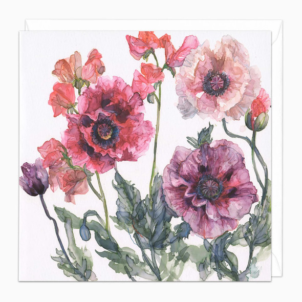 Trotman- Poppies and Sweet Peas (unbagged)