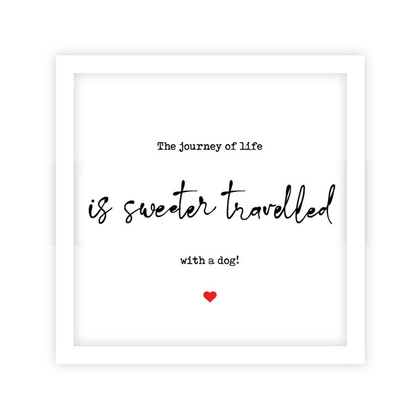 Just Saying- Journey of Life