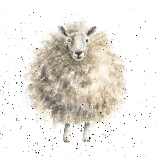 The Woolly Jumper