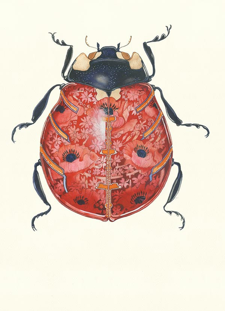 Ladybird