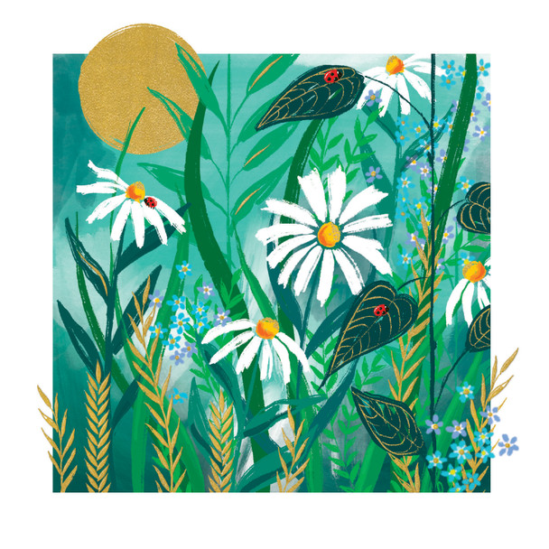 Daisies On Teal (Blank)