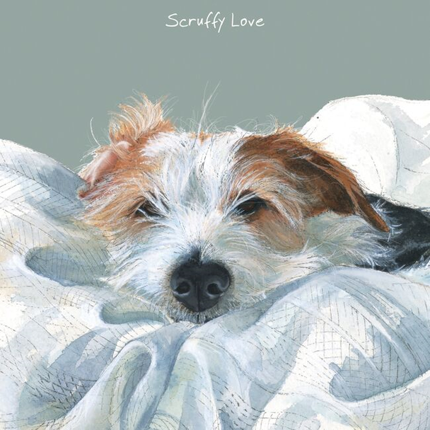 Scruffy Love