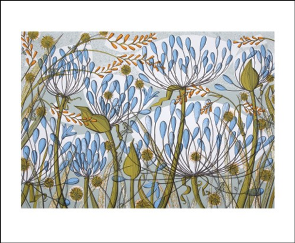 Angie Lewin- Agapanthus II