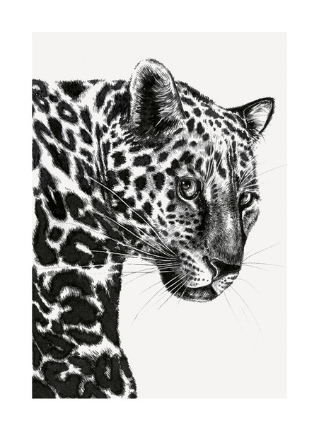 Ink & Shadow- Leopard (100 x 135mm)