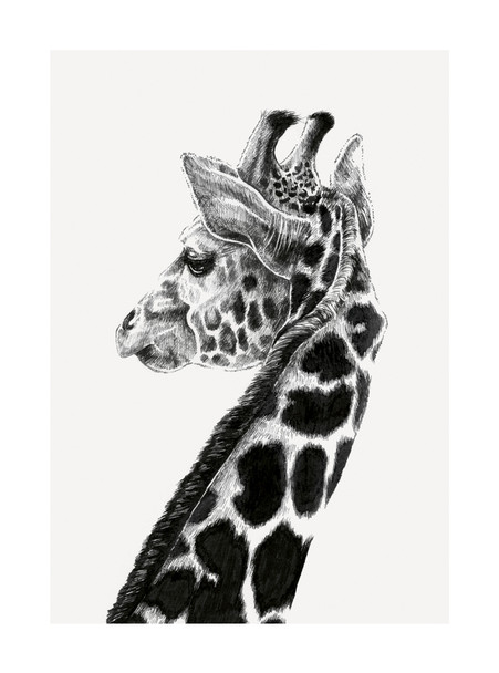 Ink & Shadow- Giraffe (100 x 135mm)