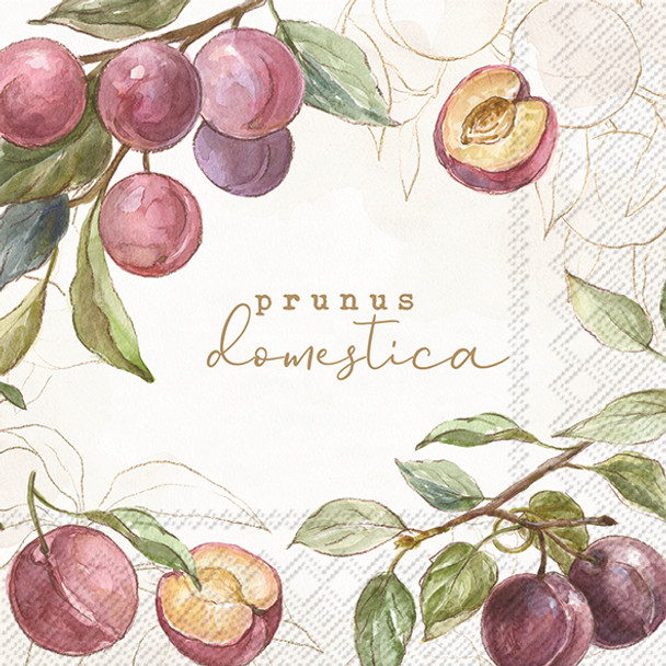 SALE - Country Plums Cream