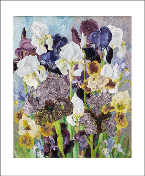 Cedric Morris - May Flowering Irises