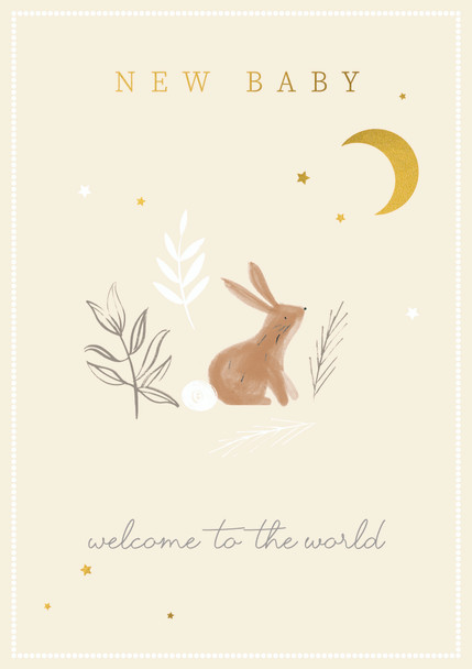 NB- Bunny & Moon