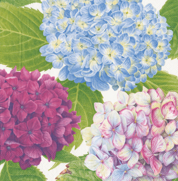 Karen Kluglein - Hydrangea Garden