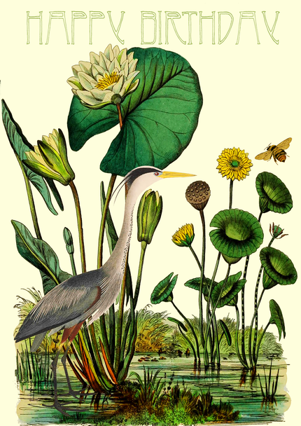 HB- Heron & Bee