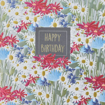 HB- Daisies (WJB F438)