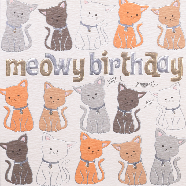HB- Meowy Birthday