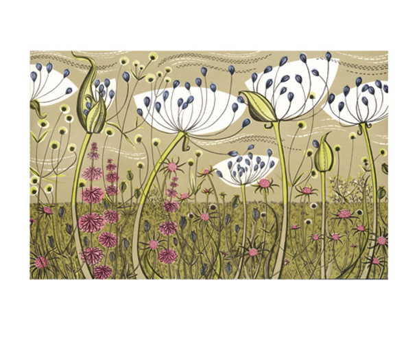 Angie Lewin- Agapanthus