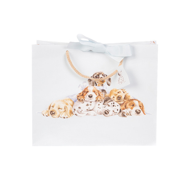 Little Paws Gift Bag