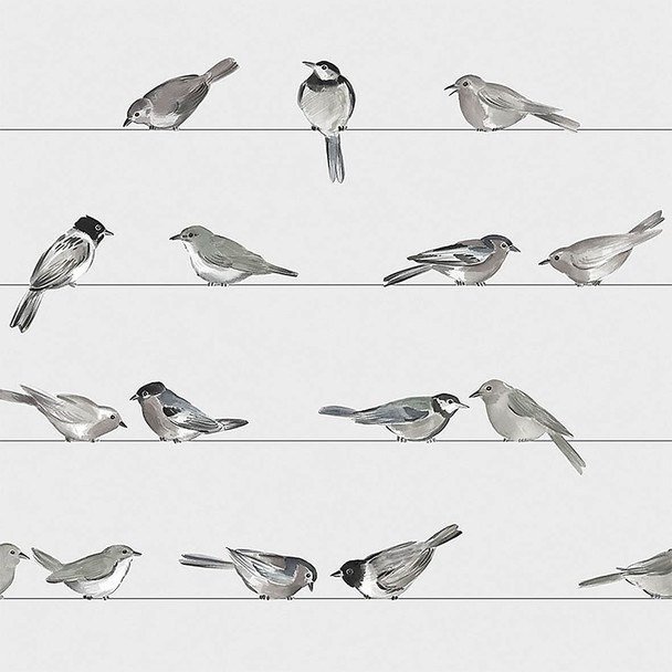 SALE - Birds