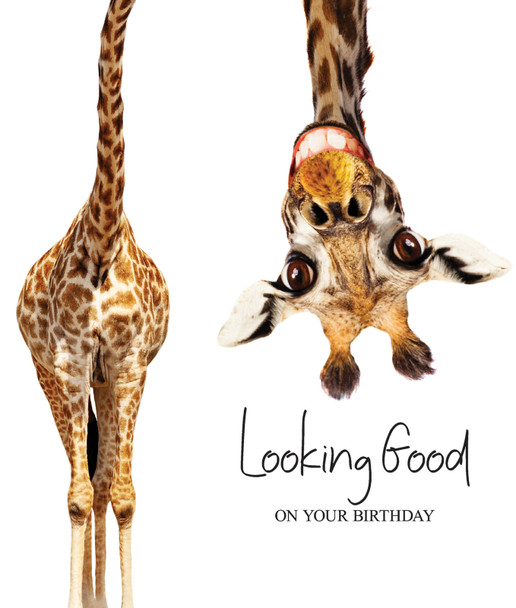 Animaltastic HB- Looking Good Giraffe