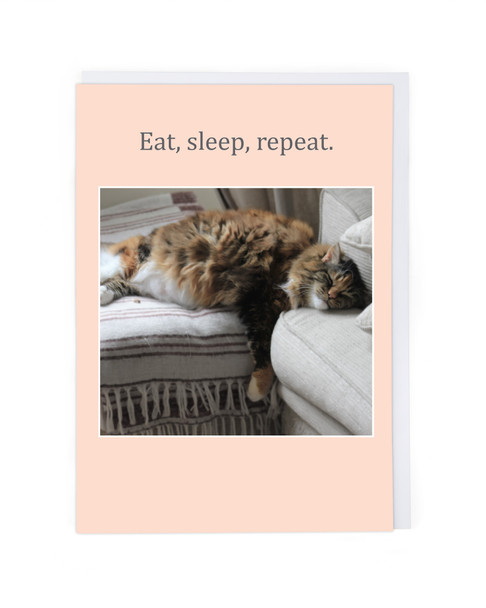 Eat, Sleep, Repeat