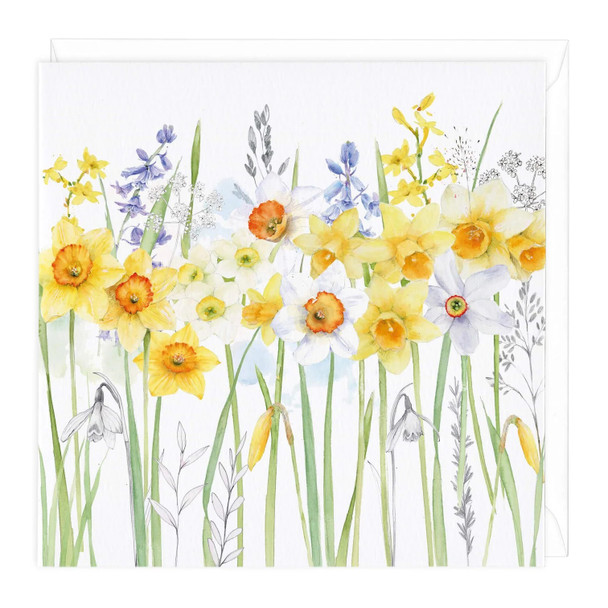 Eddington- Daffodils (unbagged)