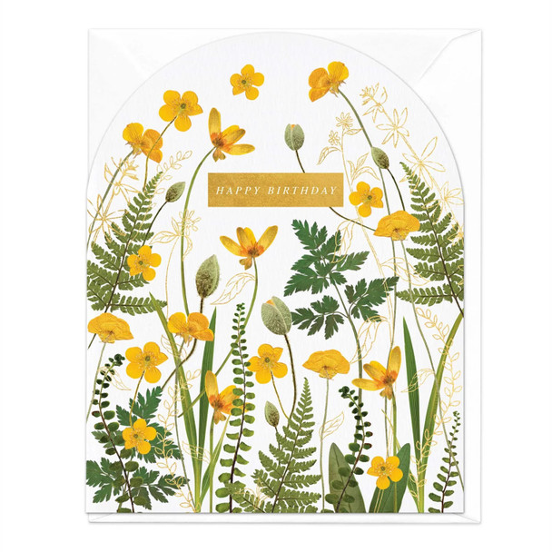 Arched- Pressed Flowers Buttercups (unbagged)