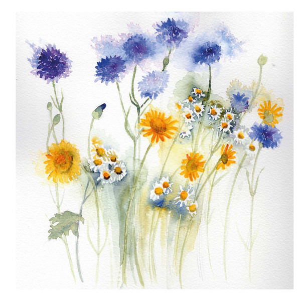 Penny Silverthorne- Cornflowers & Daisies