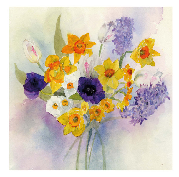 Penny Silverthorne- Daffodils & Anemones