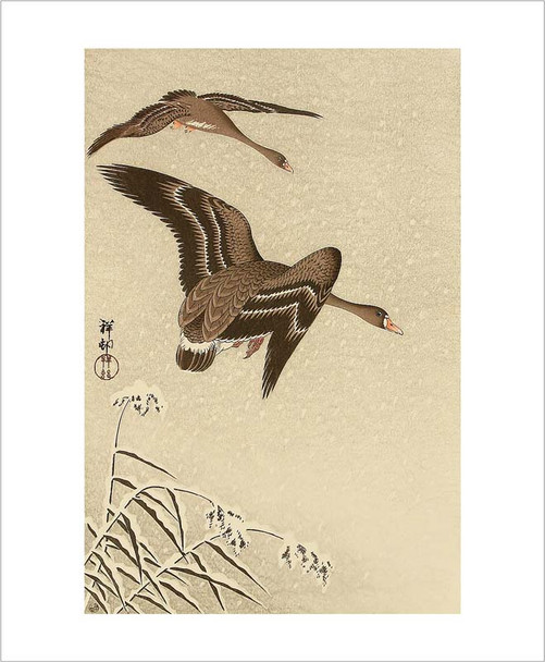 Angie Lewin- 2 White Printed Geese